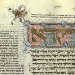 פרשת ויקרא – הרב משה פורת