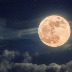 פרשת בא – הרב משה פורת