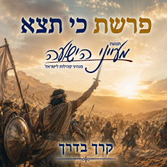 פרשת כי תצא – "קרך בדרך" – הרב משה פורת