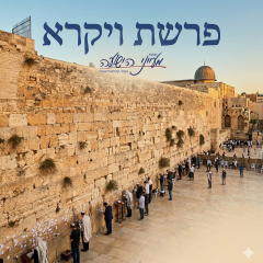 פרשת ויקרא – וידאו מאת הרב יניב חסאן