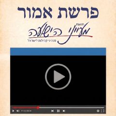 פרשת אמור – וידאו הרב יניב חסאן