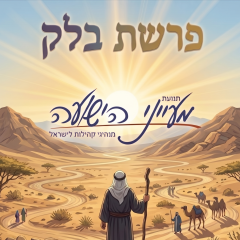 פרשת בלק – מאת הרב משה פורת