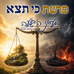 פרשת כי תצא – הרב יצחק סימן טוב