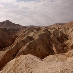 פרשת קרח – הרב יצחק סימן טוב